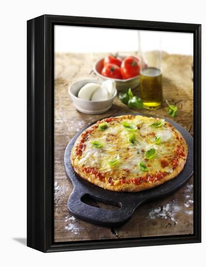 Tomato and Mozzarella Pizza with Basil-Paul Williams-Framed Premier Image Canvas