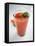 Tomato Juice-Antje Plewinski-Framed Premier Image Canvas