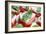 Tomato, Mozzarella And Basil Salad-Johnny Greig-Framed Photographic Print