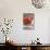 Tomato of Pachino IGP-null-Photographic Print displayed on a wall