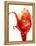 Tomato on Ketchup Splash-Kröger & Gross-Framed Premier Image Canvas