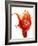 Tomato on Ketchup Splash-Kröger & Gross-Framed Photographic Print