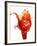 Tomato on Ketchup Splash-Kröger & Gross-Framed Photographic Print