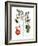 Tomato Plant, 1735-Elizabeth Blackwell-Framed Giclee Print