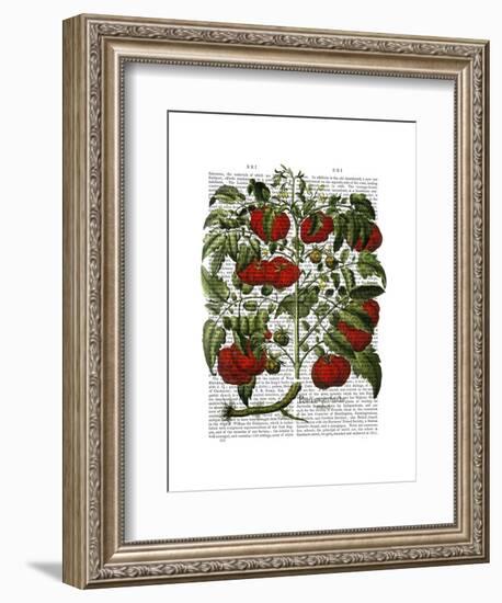 Tomato Plant-Fab Funky-Framed Art Print