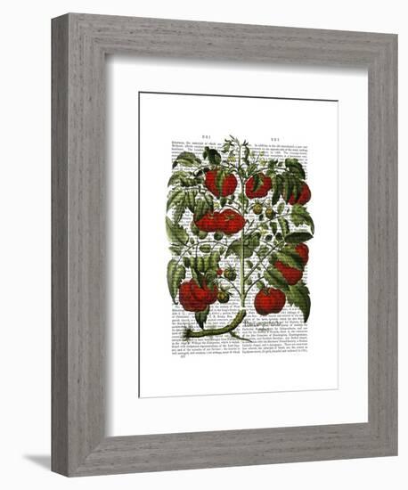 Tomato Plant-Fab Funky-Framed Art Print