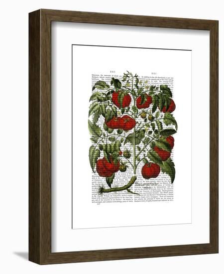 Tomato Plant-Fab Funky-Framed Art Print