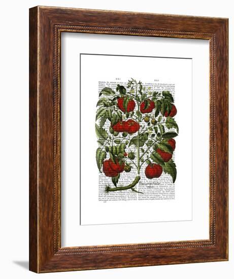 Tomato Plant-Fab Funky-Framed Art Print