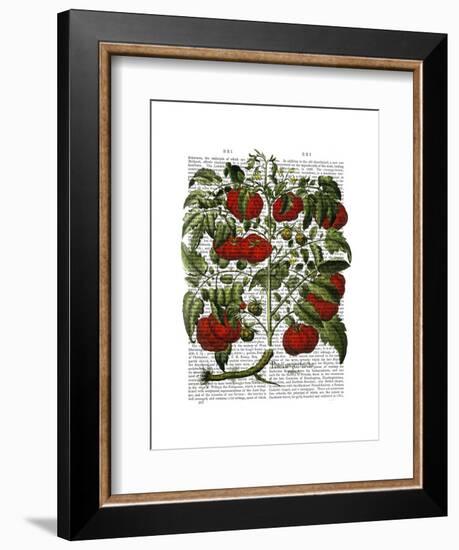 Tomato Plant-Fab Funky-Framed Art Print