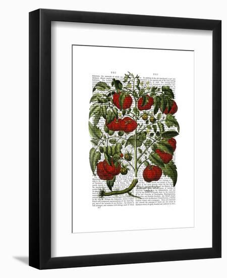 Tomato Plant-Fab Funky-Framed Art Print