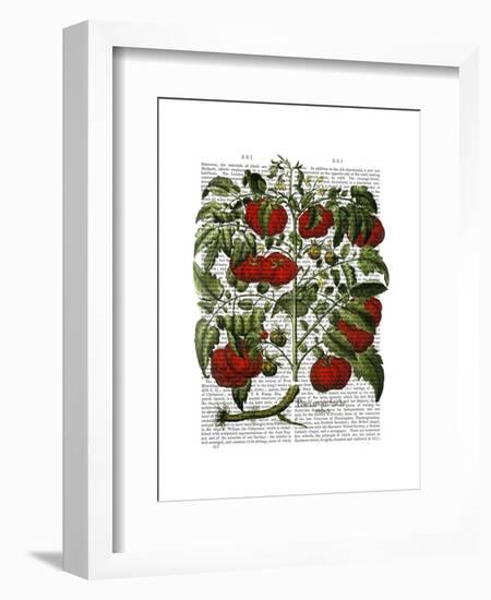 Tomato Plant-Fab Funky-Framed Art Print