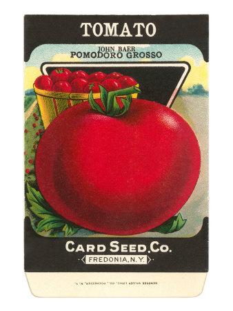 'Tomato Seed Packet' Art Print | Art.com