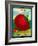 Tomato Seed Packet-Lantern Press-Framed Art Print