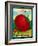 Tomato Seed Packet-Lantern Press-Framed Art Print