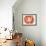 Tomato Slice-Steven Morris-Framed Photographic Print displayed on a wall