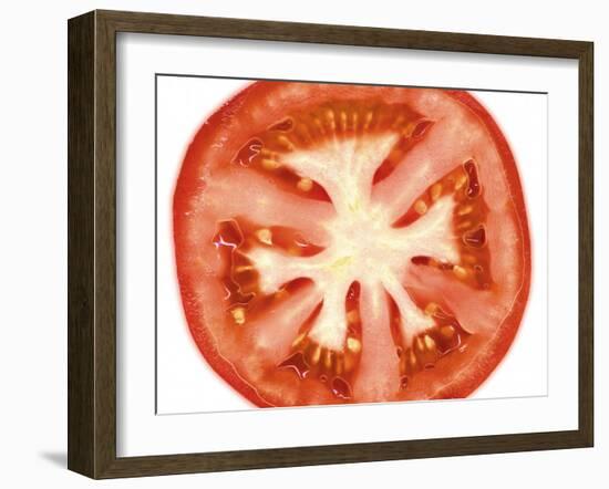 Tomato Slice-Steven Morris-Framed Photographic Print