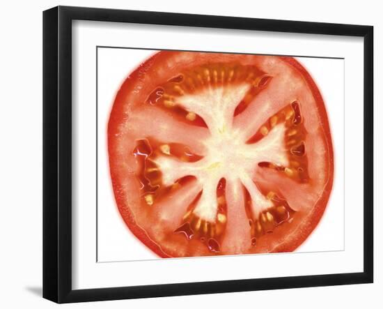 Tomato Slice-Steven Morris-Framed Photographic Print