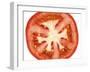 Tomato Slice-Steven Morris-Framed Photographic Print