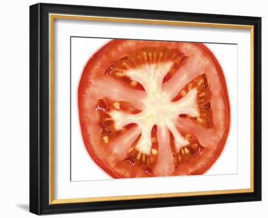 Tomato Slice-Steven Morris-Framed Photographic Print