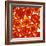 Tomato Slices-Johnny Greig-Framed Premium Photographic Print