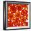 Tomato Slices-Johnny Greig-Framed Premium Photographic Print