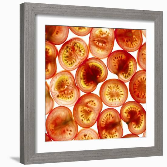 Tomato Slices-Mark Sykes-Framed Premium Photographic Print