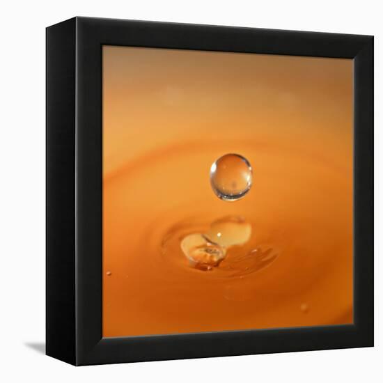 Tomato Soup Drop I-Tammy Putman-Framed Premier Image Canvas