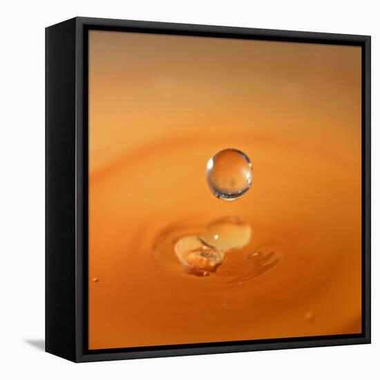 Tomato Soup Drop I-Tammy Putman-Framed Premier Image Canvas