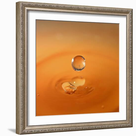Tomato Soup Drop I-Tammy Putman-Framed Photographic Print