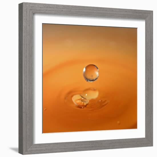 Tomato Soup Drop I-Tammy Putman-Framed Photographic Print