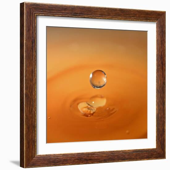 Tomato Soup Drop I-Tammy Putman-Framed Photographic Print