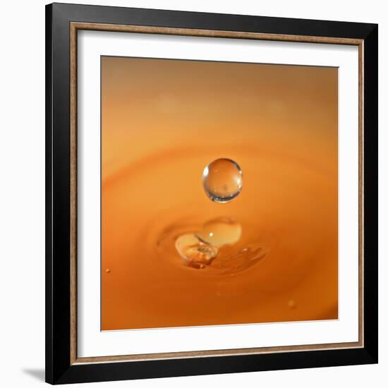 Tomato Soup Drop I-Tammy Putman-Framed Photographic Print