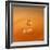 Tomato Soup Drop I-Tammy Putman-Framed Photographic Print