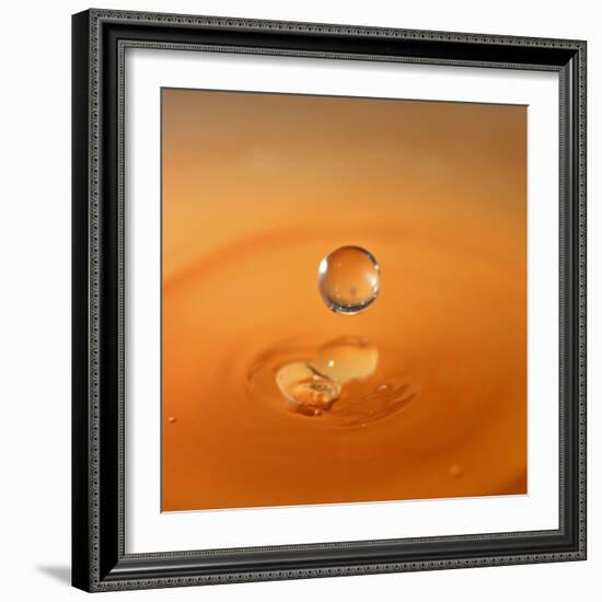 Tomato Soup Drop I-Tammy Putman-Framed Photographic Print