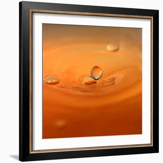 Tomato Soup Drop II-Tammy Putman-Framed Photographic Print