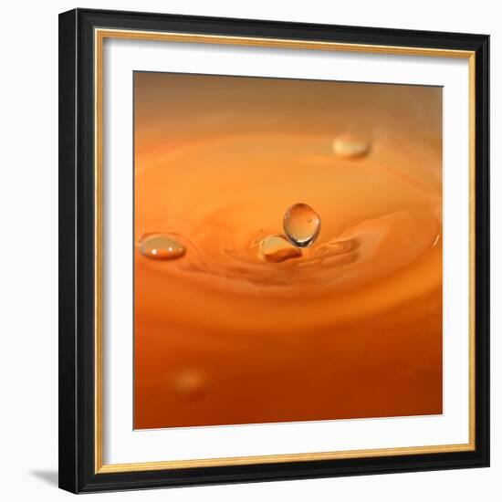 Tomato Soup Drop II-Tammy Putman-Framed Photographic Print