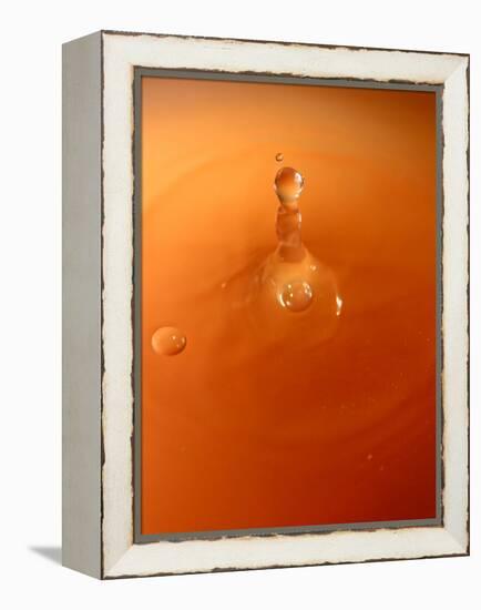 Tomato Soup Drop III-Tammy Putman-Framed Premier Image Canvas