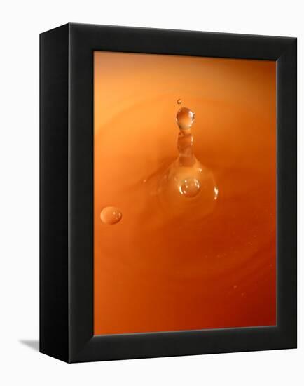 Tomato Soup Drop III-Tammy Putman-Framed Premier Image Canvas