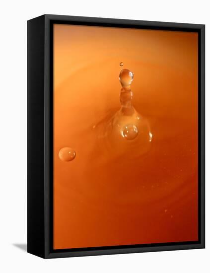 Tomato Soup Drop III-Tammy Putman-Framed Premier Image Canvas