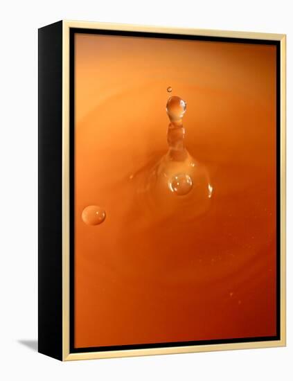 Tomato Soup Drop III-Tammy Putman-Framed Premier Image Canvas