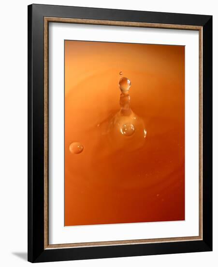 Tomato Soup Drop III-Tammy Putman-Framed Photographic Print