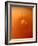 Tomato Soup Drop III-Tammy Putman-Framed Photographic Print