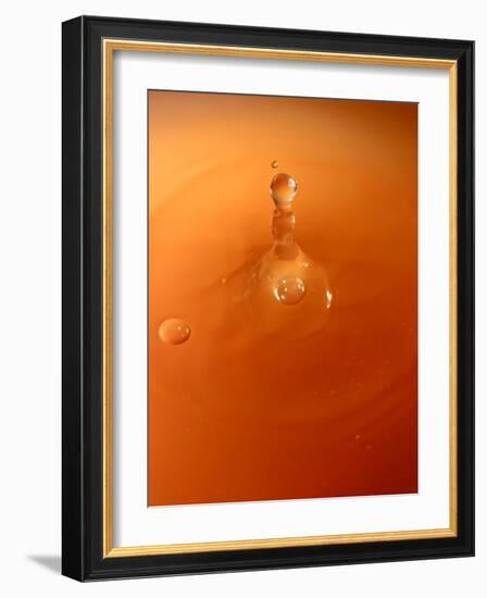 Tomato Soup Drop III-Tammy Putman-Framed Photographic Print