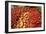 Tomato Stall-Jeremy Walker-Framed Photographic Print