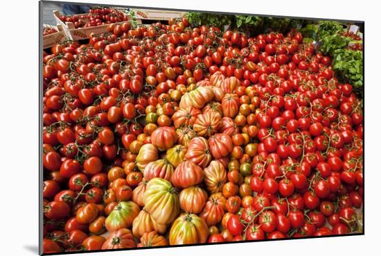 Tomato Stall-Jeremy Walker-Mounted Photographic Print