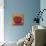 Tomato-Will Rafuse-Mounted Giclee Print displayed on a wall