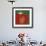 Tomato-Yuko Lau-Framed Giclee Print displayed on a wall