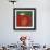 Tomato-Yuko Lau-Framed Giclee Print displayed on a wall