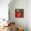 Tomato-Yuko Lau-Mounted Giclee Print displayed on a wall