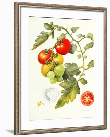 Tomatoes, 1994-Margaret Ann Eden-Framed Giclee Print